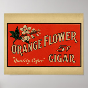 Orange Blume Vintag Cigar Box Poster