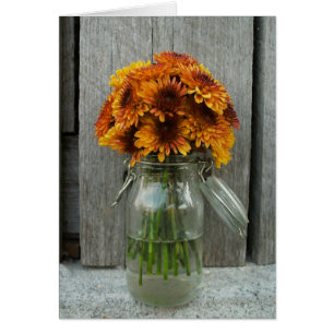 Orange Blumen in der Maurer-Glas-u.