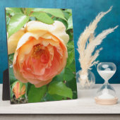 Orange Blush Rose Fotoplatte (Seite)