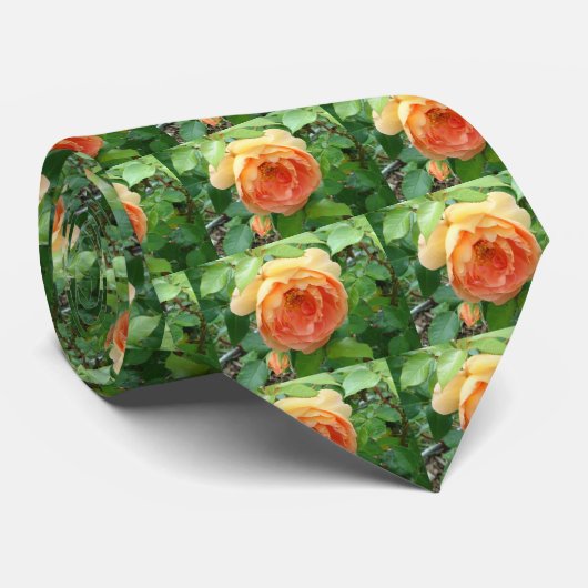 Orange Blush Rose Krawatte (Gerollt)
