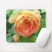 Orange Blush Rose Mousepad (Mit Mouse)