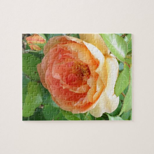 Orange Blush Rose Puzzle (Horizontal)