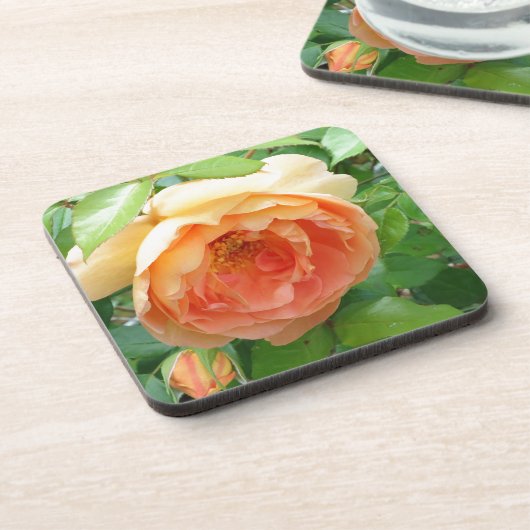 Orange Blush Rose Untersetzer (Linke Seite)