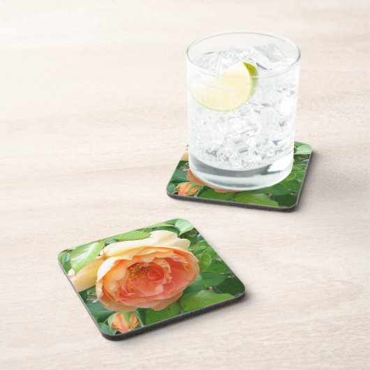 Orange Blush Rose Untersetzer (Rechte Seite)