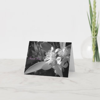 Orange Blüte danken Ihnen zu kardieren Dankeskarte