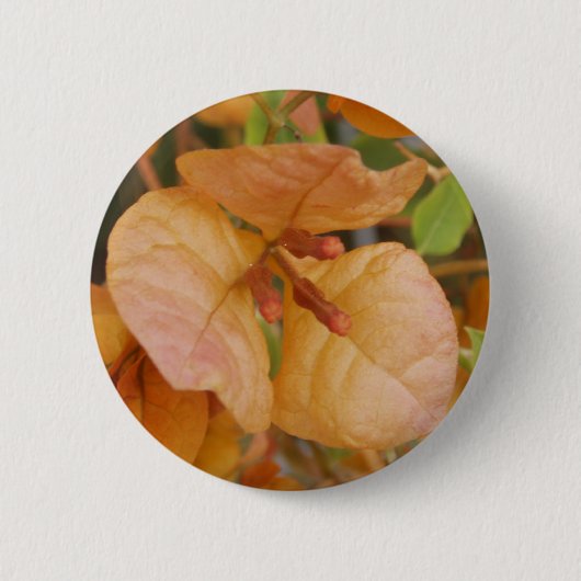 Orange Bougainvillea Button (Vorderseite)