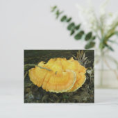 Orange Bracket Fungus Postkarte (Stehend Vorderseite)