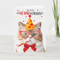 Orange British Shorthair Cat MEOWvelous Birthday