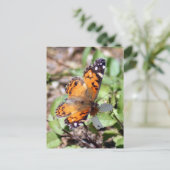 Orange Brown Butterfly Foto Postkarte (Stehend Vorderseite)