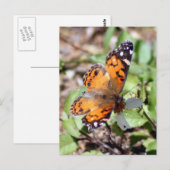 Orange Brown Butterfly Foto Postkarte (Vorne/Hinten)