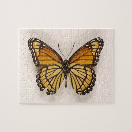 Orange Brown Winged Butterfly Puzzle (Horizontal)
