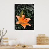 Orange Burst Poster (Küche)