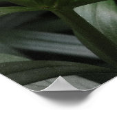 Orange Burst Poster (Ecke)