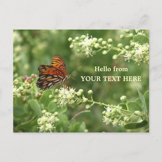 Orange Butterfly Angepasste Postkarte "Hello from" (Vorderseite)