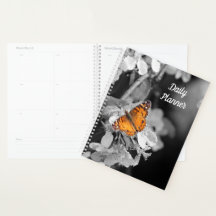 Orange Butterfly auf Apple Blossom Daily Planner