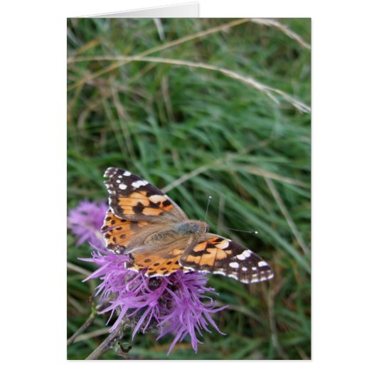 Orange Butterfly Card (Vorne)