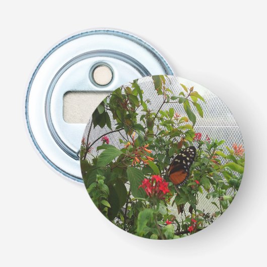 ORANGE BUTTERFLY FLASCHENÖFFNER (Vorderseite)