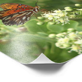 Orange Butterfly Foto Print (Ecke)