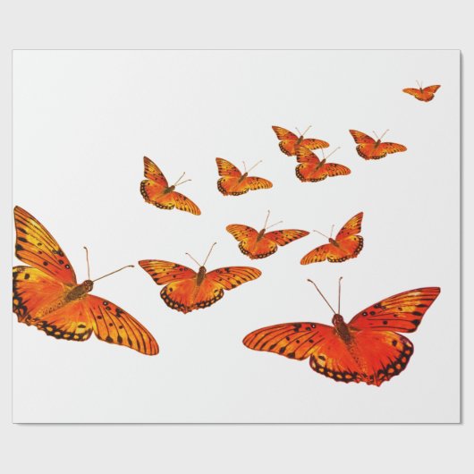 ORANGE BUTTERFLY GIFT WRAPPING WRAPPING PAPIER GESCHENKPAPIER (Flach)