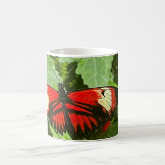 Orange Butterfly Kaffeetasse (Mittel)
