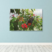 ORANGE BUTTERFLY LEINWANDDRUCK (Insitu (Holzboden))