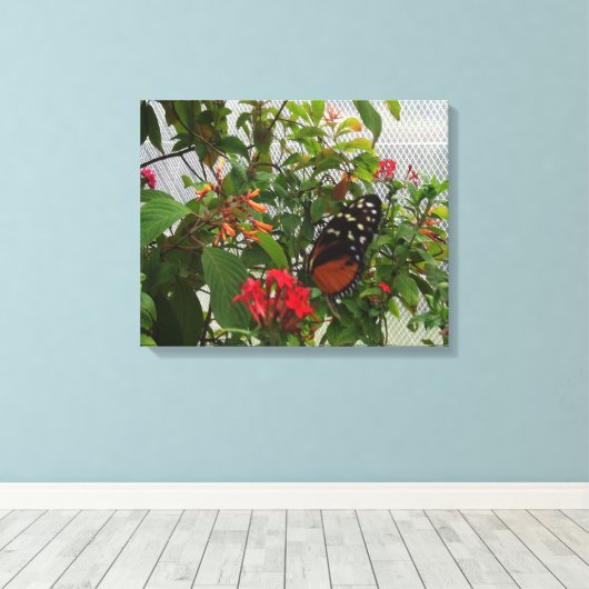 ORANGE BUTTERFLY LEINWANDDRUCK (Insitu (Holzboden))