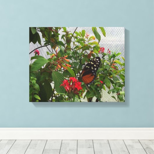 ORANGE BUTTERFLY LEINWANDDRUCK (Insitu (Holzboden))