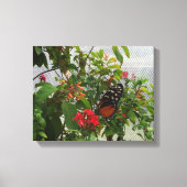 ORANGE BUTTERFLY LEINWANDDRUCK (Vorderseite)