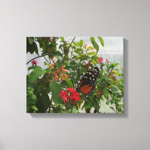ORANGE BUTTERFLY LEINWANDDRUCK
