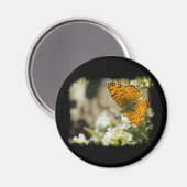 Orange Butterfly Magnet (Vorderseite/Rückseite)