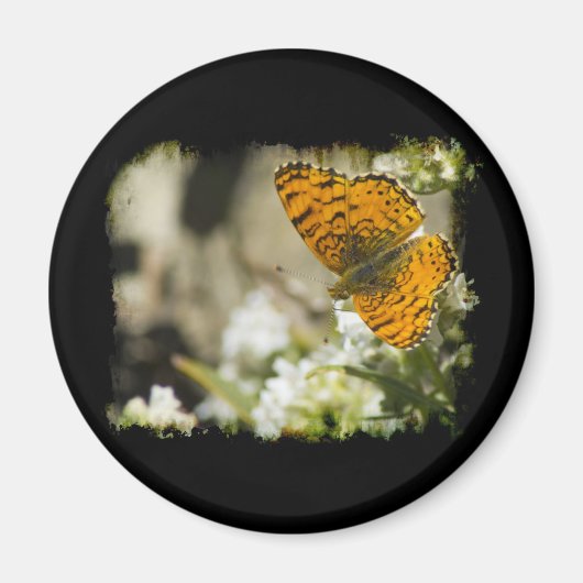 Orange Butterfly Magnet (Vorne)