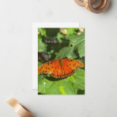 Orange Butterfly Mitteilungskarte (Vorderseite/Rückseite Beispiel)
