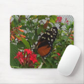 ORANGE BUTTERFLY MOUSEPAD (Mit Mouse)