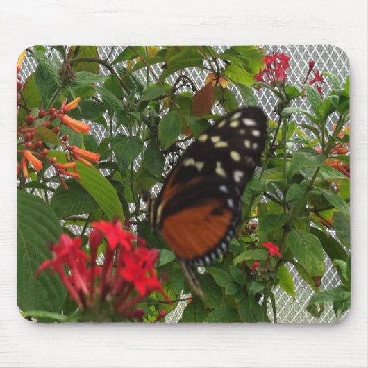 ORANGE BUTTERFLY MOUSEPAD (Vorne)