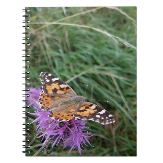 Orange Butterfly Notebook Notizblock (Vorderseite)