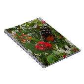 ORANGE BUTTERFLY NOTIZBLOCK (Rechte Seite)