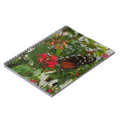 ORANGE BUTTERFLY NOTIZBLOCK (Linke Seite)