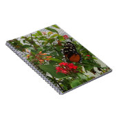 ORANGE BUTTERFLY NOTIZBLOCK (Rechte Seite)