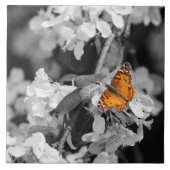 Orange Butterfly On Apple Blossom Keramik Tile Fliese (Vorderseite)