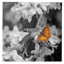 Orange Butterfly On Apple Blossom Keramik Tile Fliese