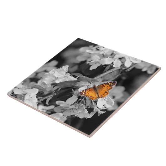 Orange Butterfly On Apple Blossom Keramik Tile Fliese (Seite)