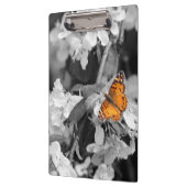 Orange Butterfly On Apple Blossom Zwischenablage Klemmbrett (Links)