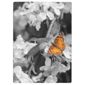 Orange Butterfly On Apple Blossom Zwischenablage Klemmbrett (Rückseite)
