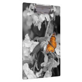 Orange Butterfly On Apple Blossom Zwischenablage Klemmbrett (Rechts)