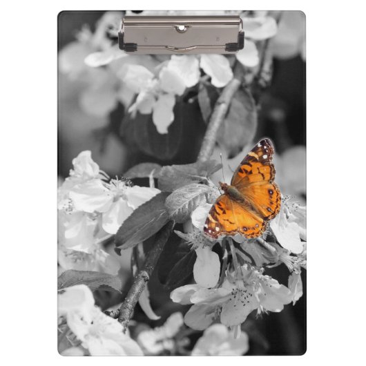 Orange Butterfly On Apple Blossom Zwischenablage Klemmbrett (Vorderseite)
