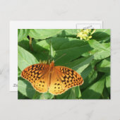 Orange Butterfly Postcard Postkarte (Vorne/Hinten)