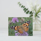 Orange Butterfly Postcard Postkarte (Stehend Vorderseite)