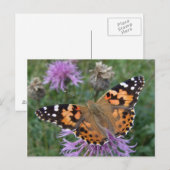 Orange Butterfly Postcard Postkarte (Vorne/Hinten)