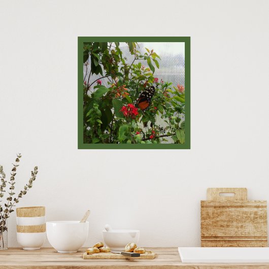 ORANGE BUTTERFLY POSTER (Küche)