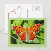 Orange Butterfly Postkarte (Vorne/Hinten)